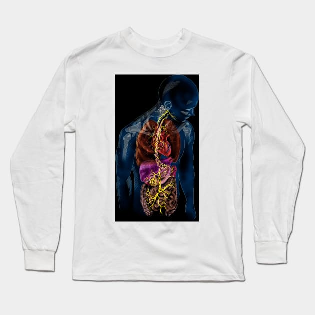 Vagus nerve anatomy, illustration (C037/4895) Long Sleeve T-Shirt by SciencePhoto